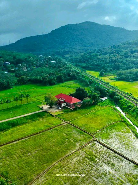 Beautiful Nature image
