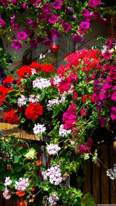 Beautiful Nature image