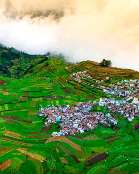 Beautiful Nature image