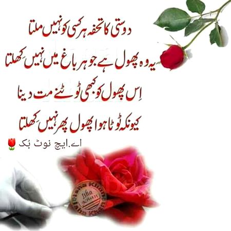 Attitude Quotes image