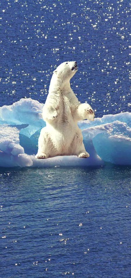 Beautiful Nature image