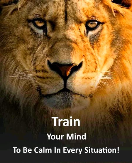 Life Advice image