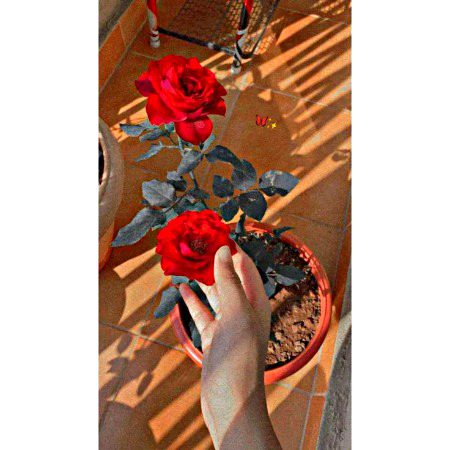 Beautiful Nature image