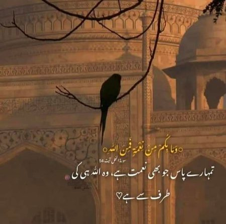 Islamic Quotes image