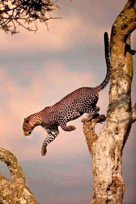 BEAUTIFUL NATURE
