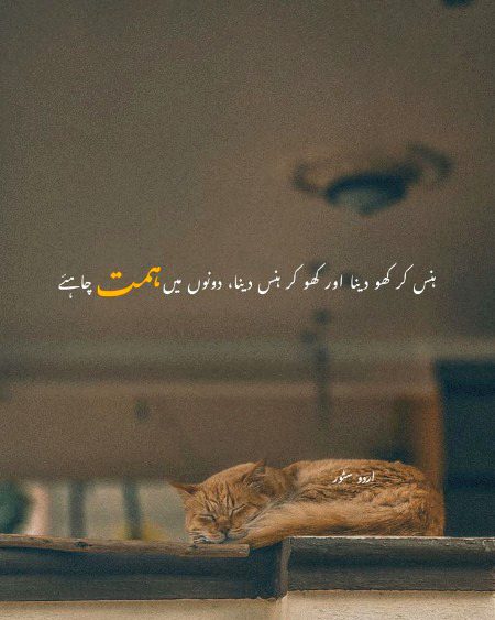 Life Advice image