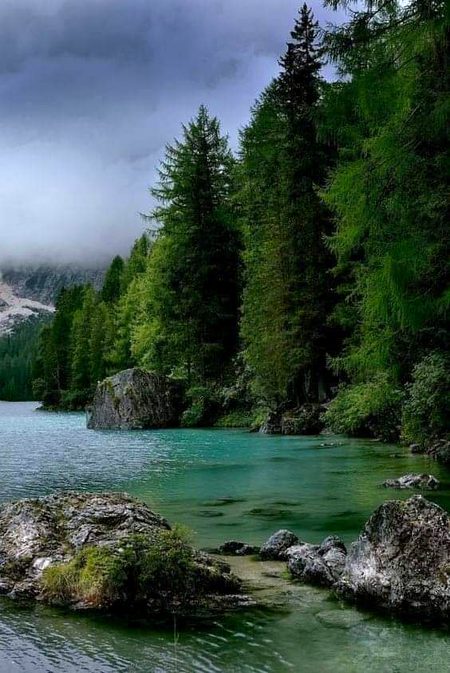 Beautiful Nature image