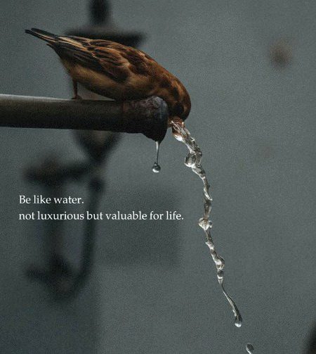 Life Advice image