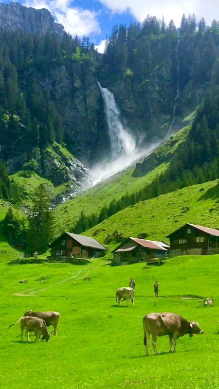 Beautiful Nature image