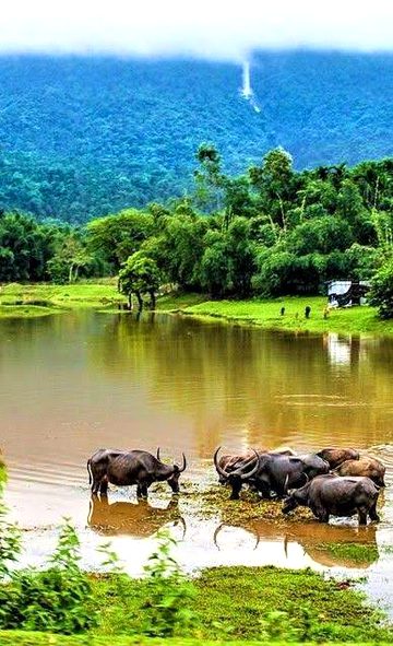 Beautiful Nature image