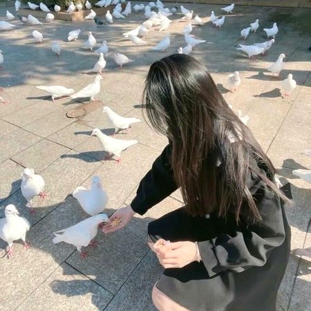 *حساس دل لے مضبوط ہوتے ہیں, کہ اپنے سوا کسی کا نقصان نہیں کرتے🤍✨*