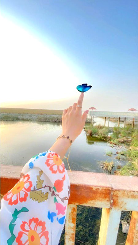 Beautiful Nature image