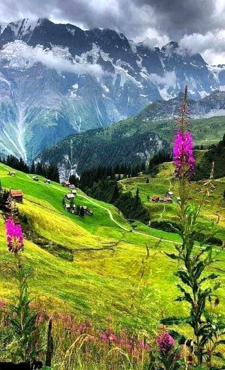 Beautiful Nature image