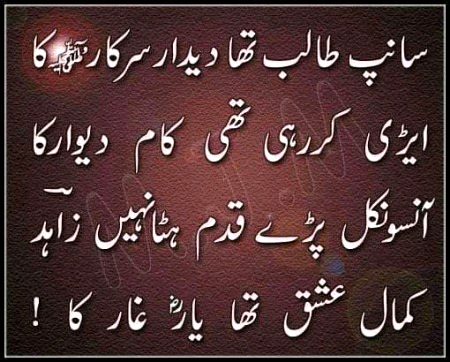 Islamic Quotes image