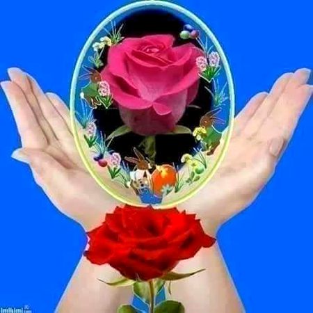 .q3 🌸🌷🌼🌺
🌷🌼
  🌷💐How 🌹🏵r🌻🌺 u 🌷🌼all💮🌸