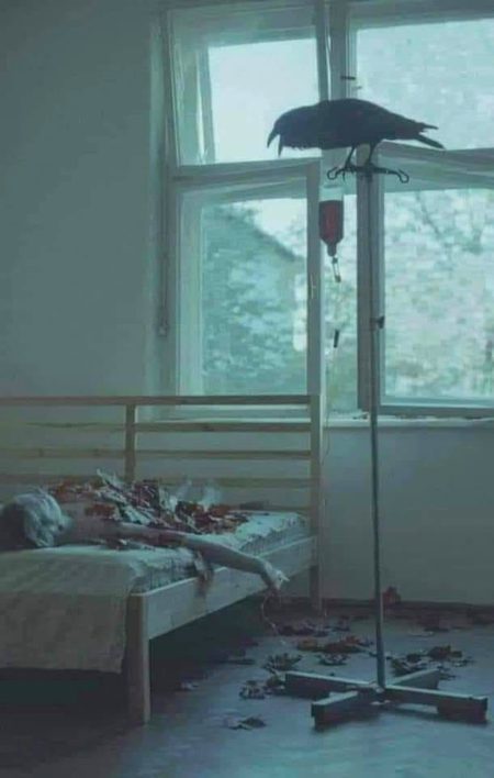 ﻣﺮ ﮔﯿﺎ ﺗﻨﮩﺎﻳٔﯽ ﮐﯽ ﺑﺎﻧﮩﻮﮞ ﻣﯿﮟ ﮐﻮﻳٔﯽ ﺑﮯ ﻣُﺮﺍﺩ
ﺗﻌﺰﯾﺖ ﮐﮯ ﻭﺍﺳﻄﮯﺍٓﻳٔﮯ ﭘﺮﻧﺪﮮ ﻣﻮﺕ ﭘﺮ