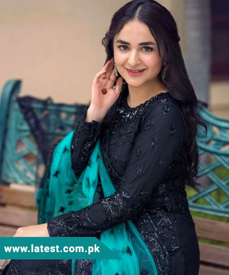 Pakistani Celebs image
