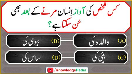 Knowledge Test image