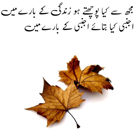 Attitude Poetry image