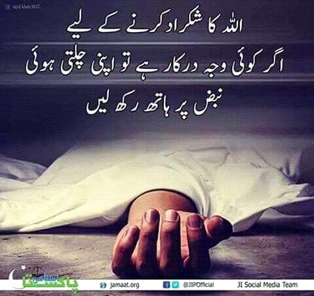 Islamic Quotes image