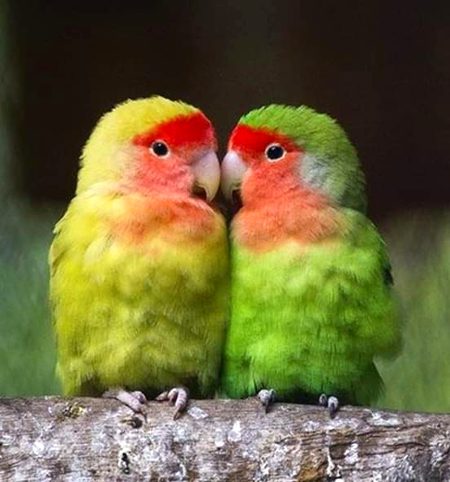 Beautiful Nature image