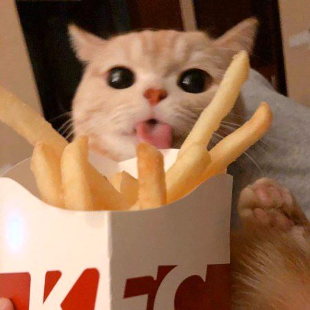 Beautiful Nature image