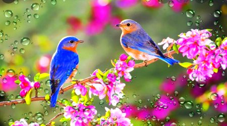 Beautiful Nature image