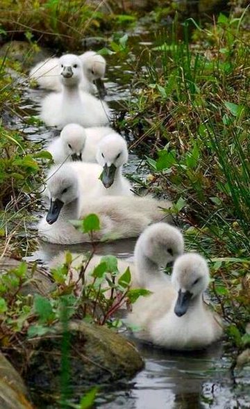 Beautiful Nature image