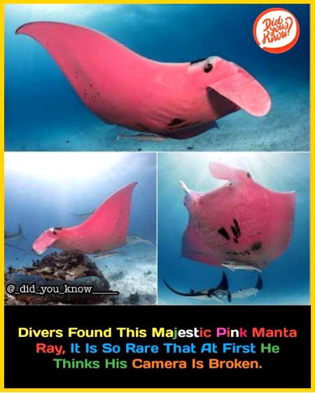 Interesting Posts image