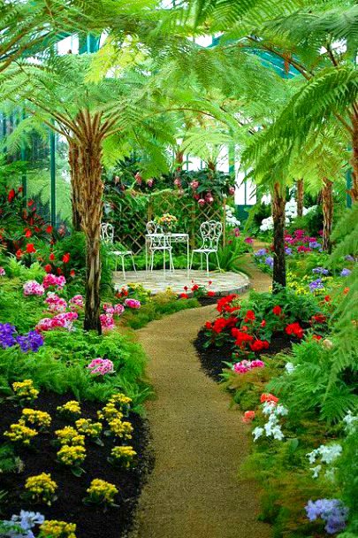 Beautiful Nature image