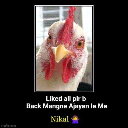 Damadam Roasting image