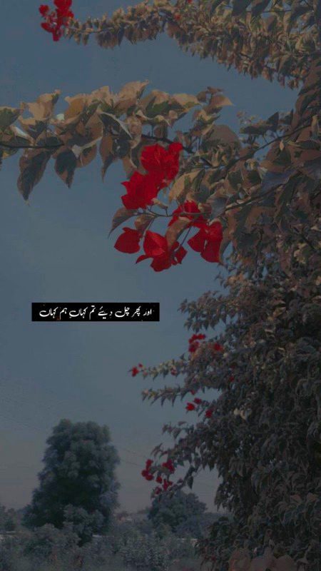 Sad Poetry image