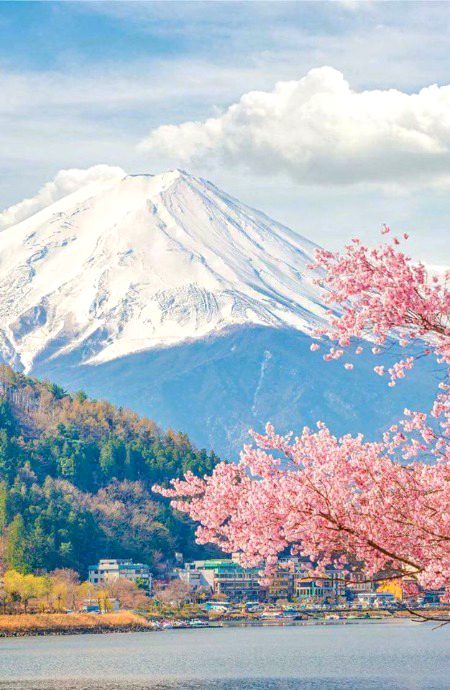 Beautiful Nature image