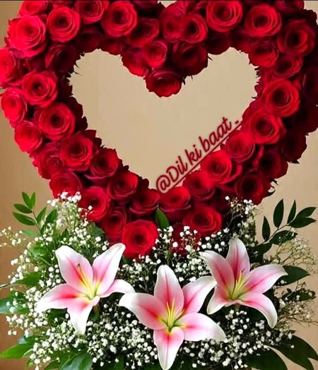 Beautiful Nature image
