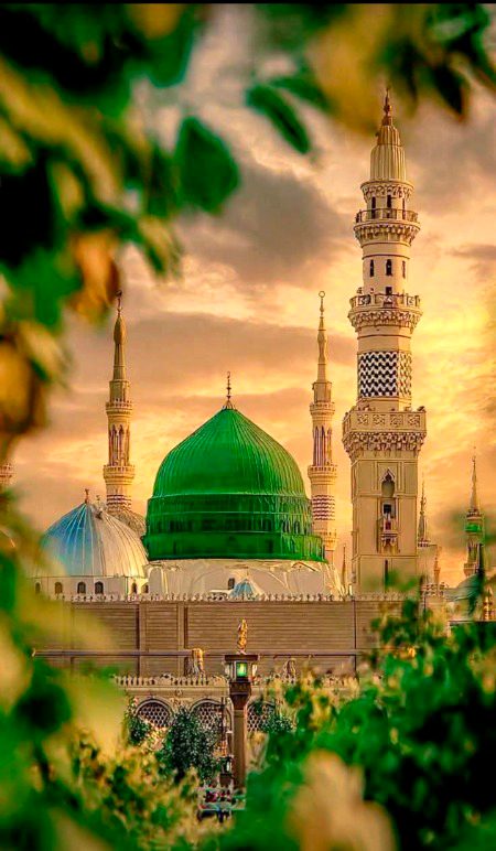 Beautiful Structures image