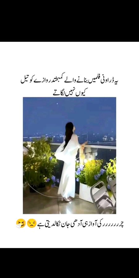 Memes & Satire image