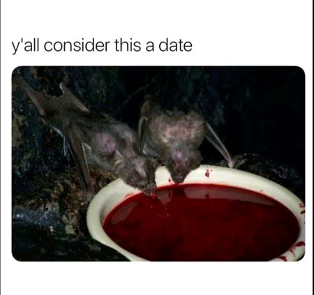 Memes & Satire image