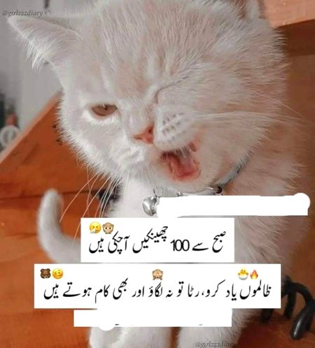 Jokes image