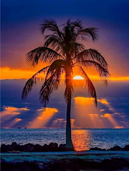 Beautiful Nature image