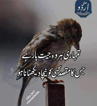 Motivational Quotes image