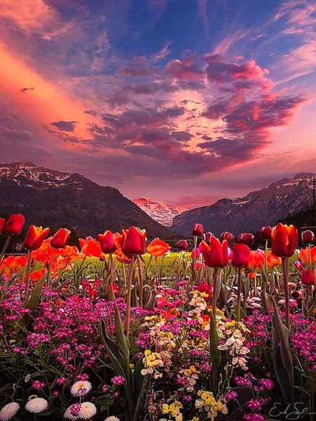 Beautiful Nature image