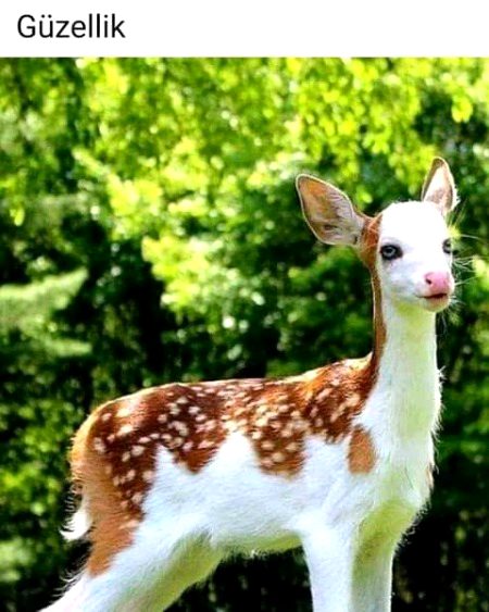 Beautiful Nature image