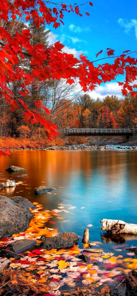 Beautiful Nature image