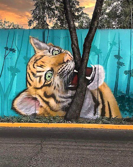 Street Art image