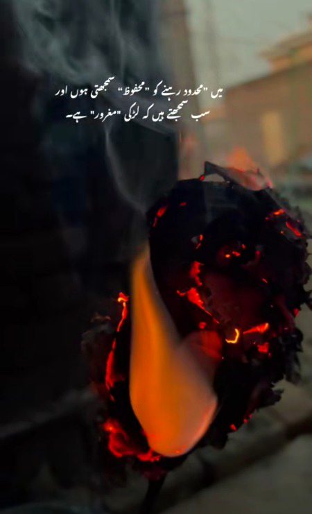 Attitude Quotes image