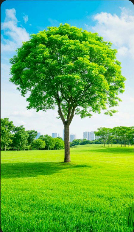 Beautiful Nature image