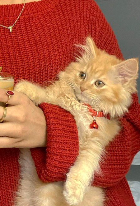 Beautiful Nature image