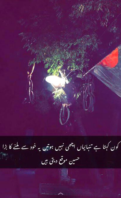 🍁Zoq_Shab🍁