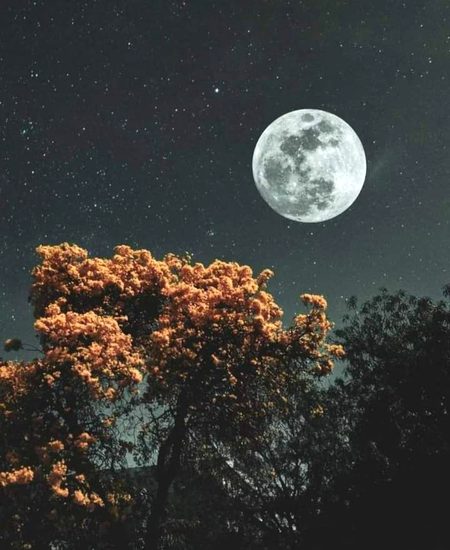 Beautiful Nature image