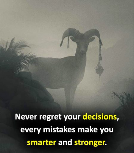 Motivational Quotes image